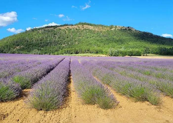 Le Jas De Bed & Breakfast Volonne